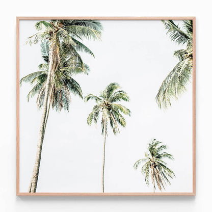 Summer Palms No. 2