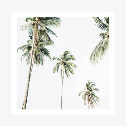 Summer Palms No. 2