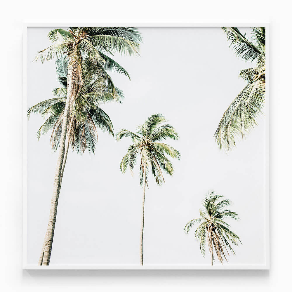 Summer Palms No. 2