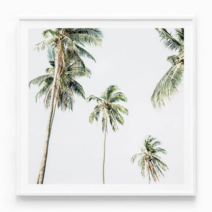 Summer Palms No. 2