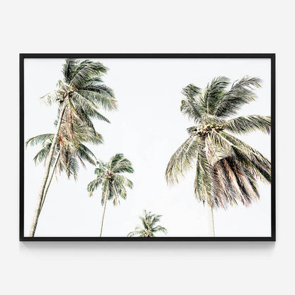 Summer Palms No. 3