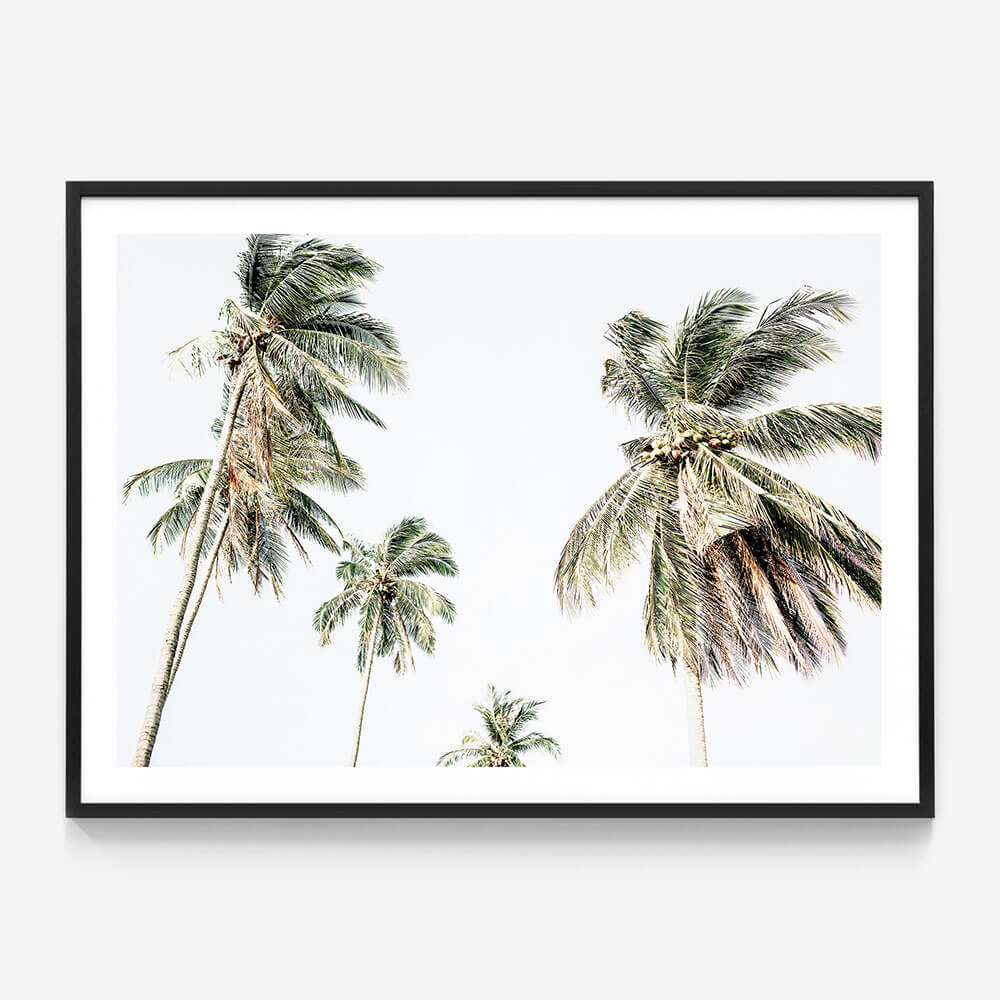 Summer Palms No. 3