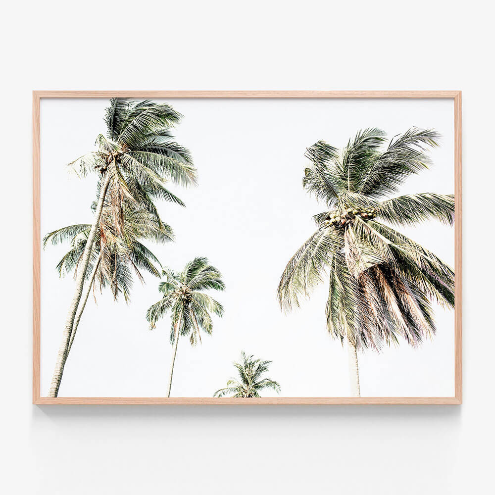 Summer Palms No. 3