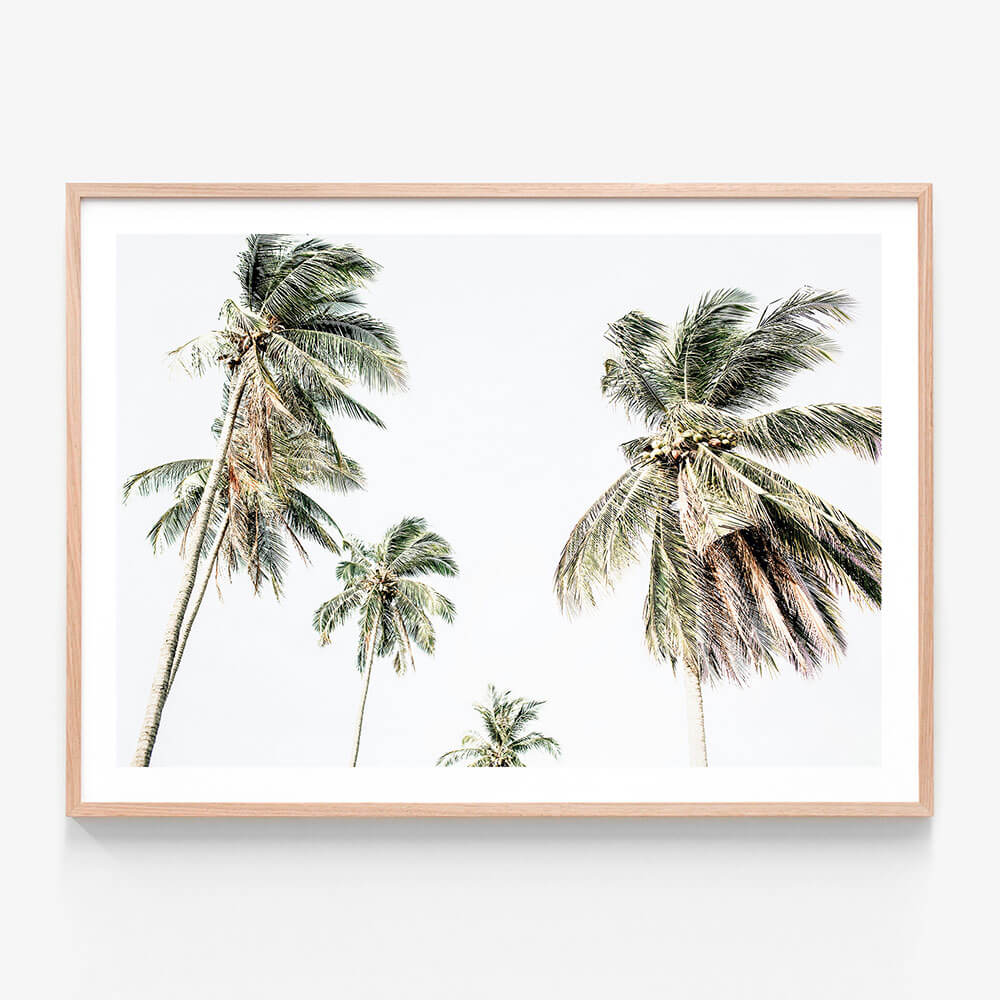 A framed photo wall art print featuring coastal palm trees