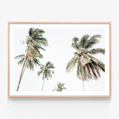A framed photo wall art print featuring coastal palm trees