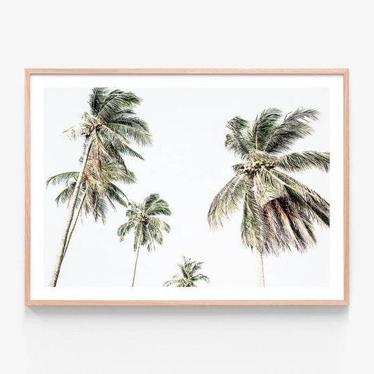 A framed photo wall art print featuring coastal palm trees