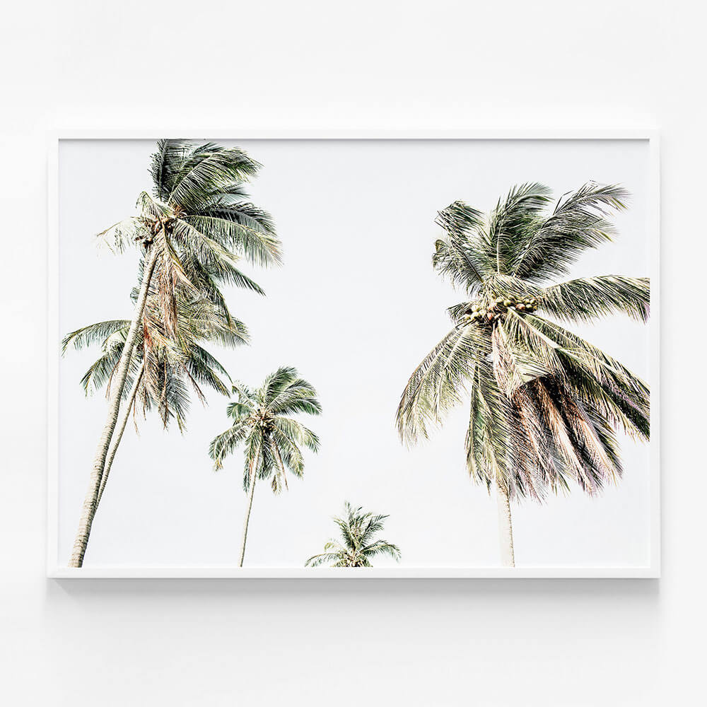 Summer Palms No. 3