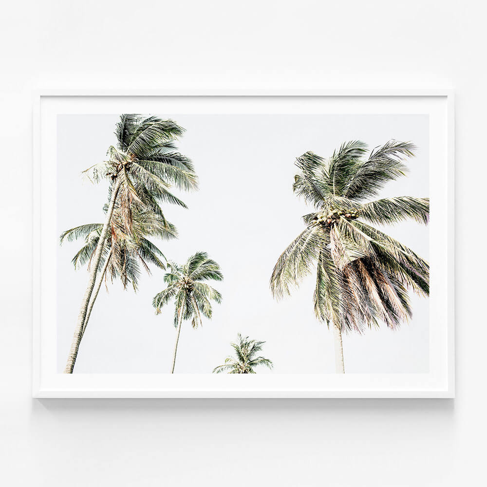 Summer Palms No. 3