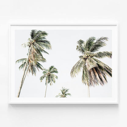 Summer Palms No. 3
