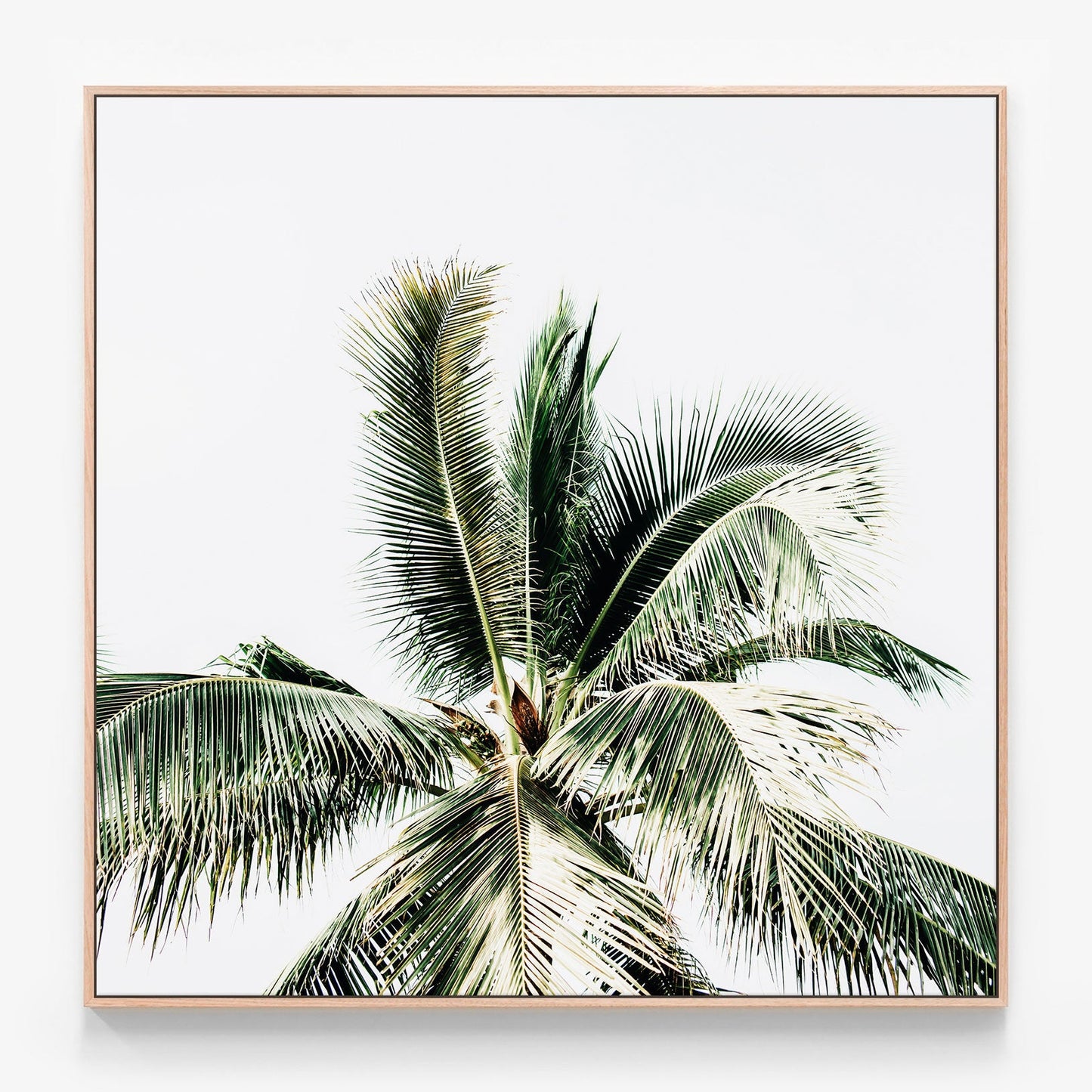 Summer Palms Canvas print in oak frame