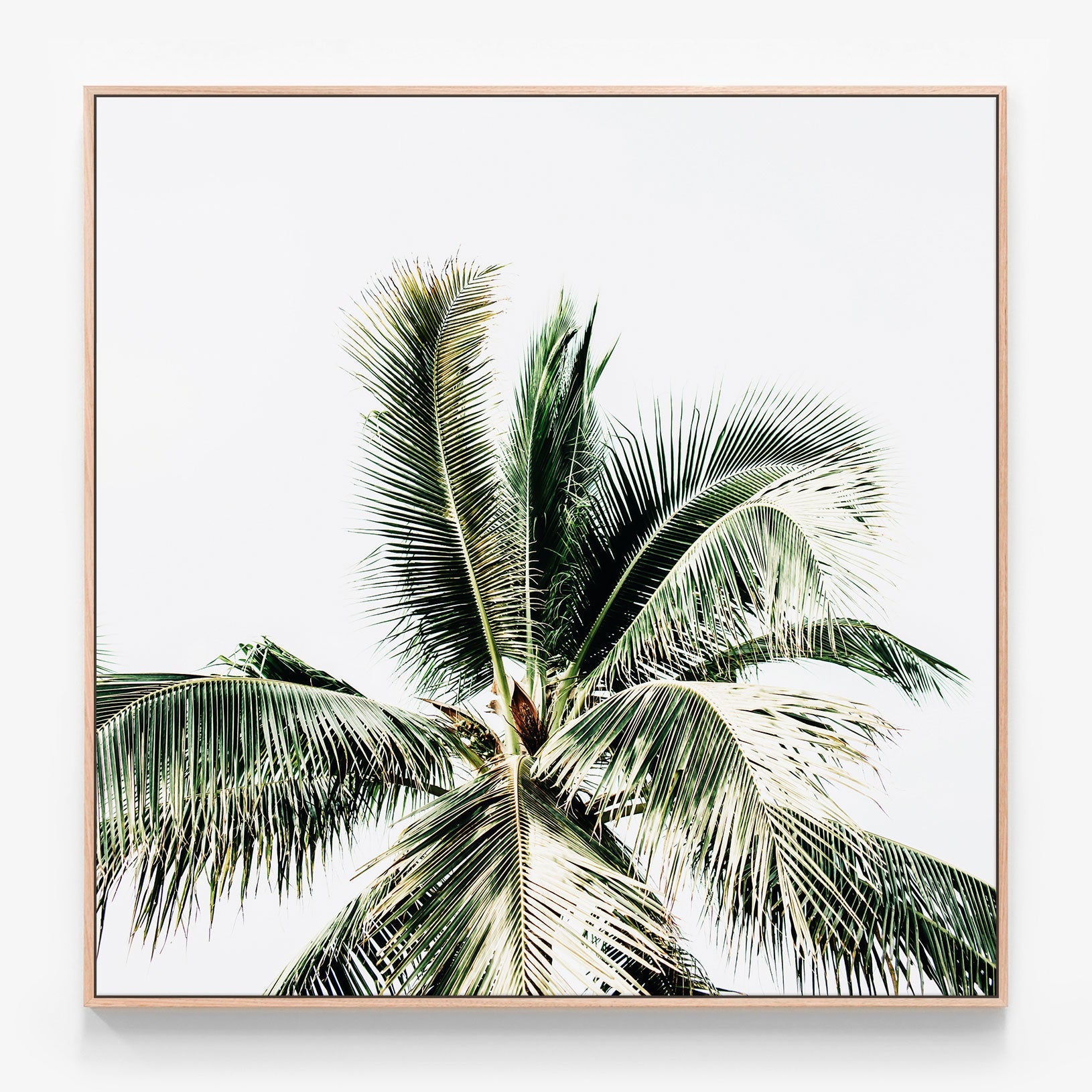 Summer Palms Canvas print in oak frame