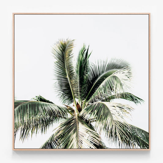 Summer Palms Canvas print in oak frame