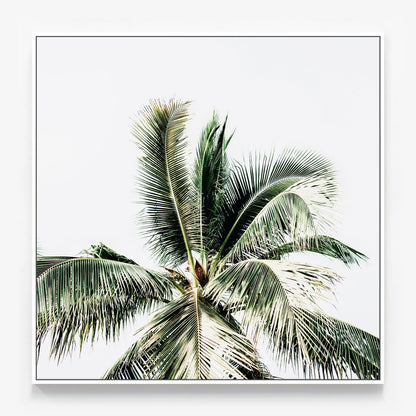 Summer Palms Canvas