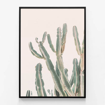 Sunrise Cactus