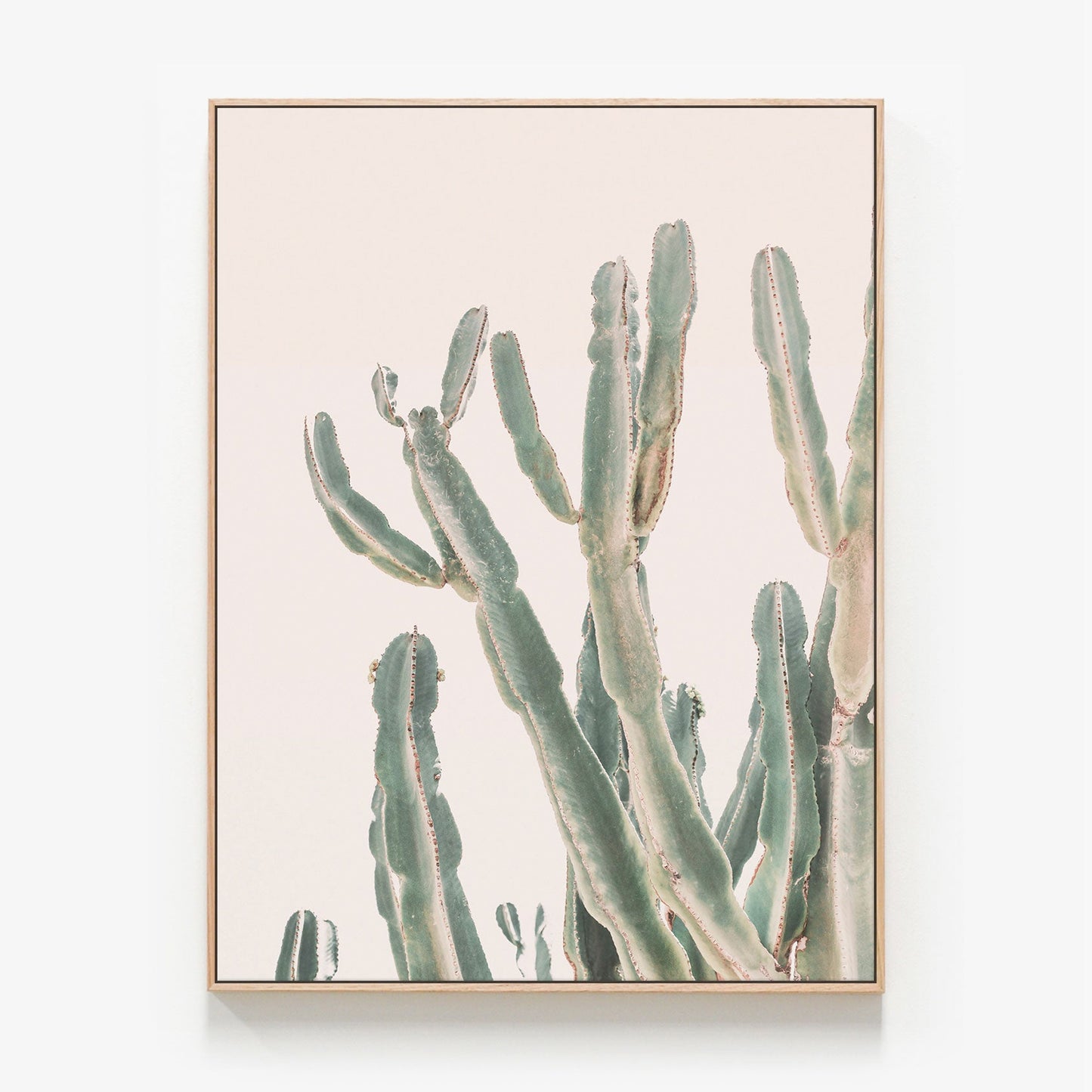 Sunrise Cactus Canvas wall art with oak float frame