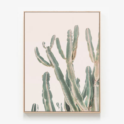 Sunrise Cactus Canvas wall art with oak float frame