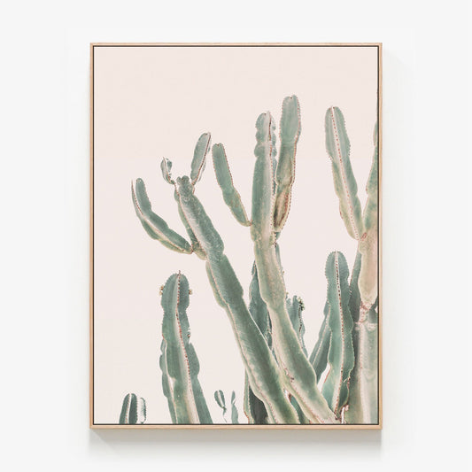 Sunrise Cactus Canvas wall art with oak float frame