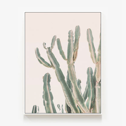 Sunrise Cactus Canvas