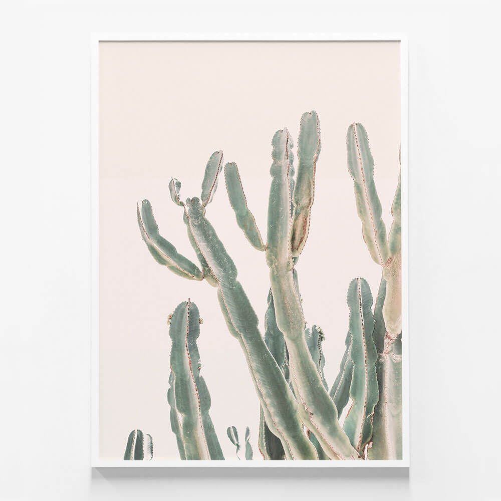 Sunrise Cactus