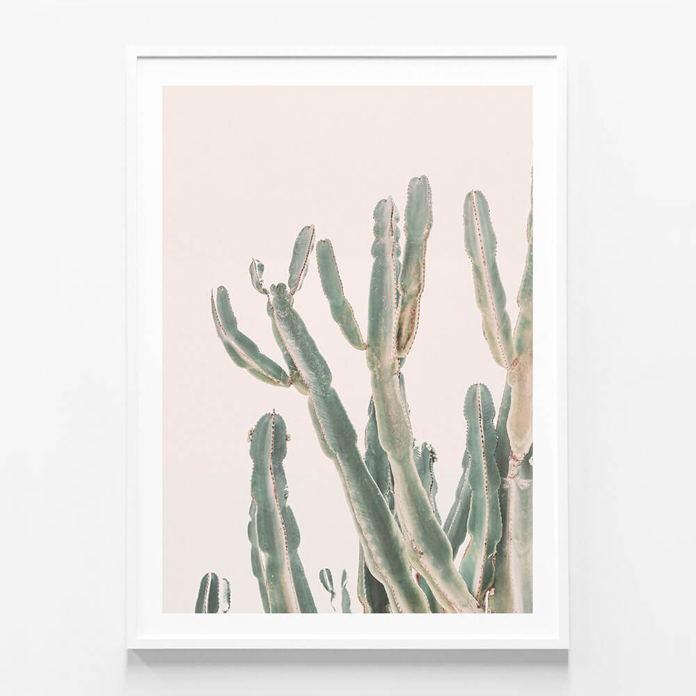 Sunrise Cactus
