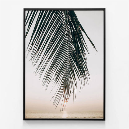 Sunset Palm