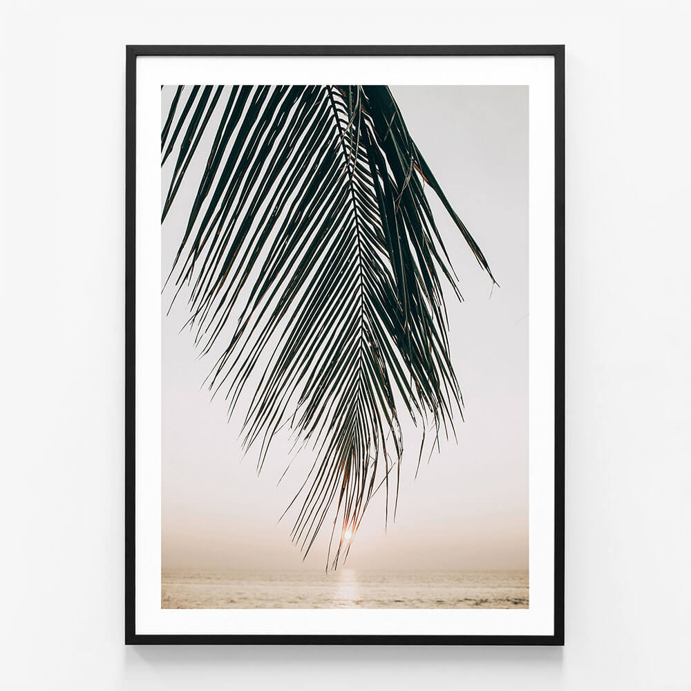 Sunset Palm