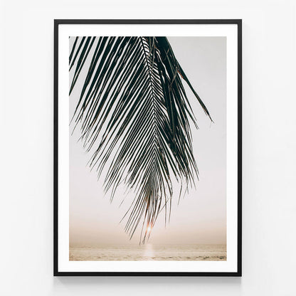 Sunset Palm