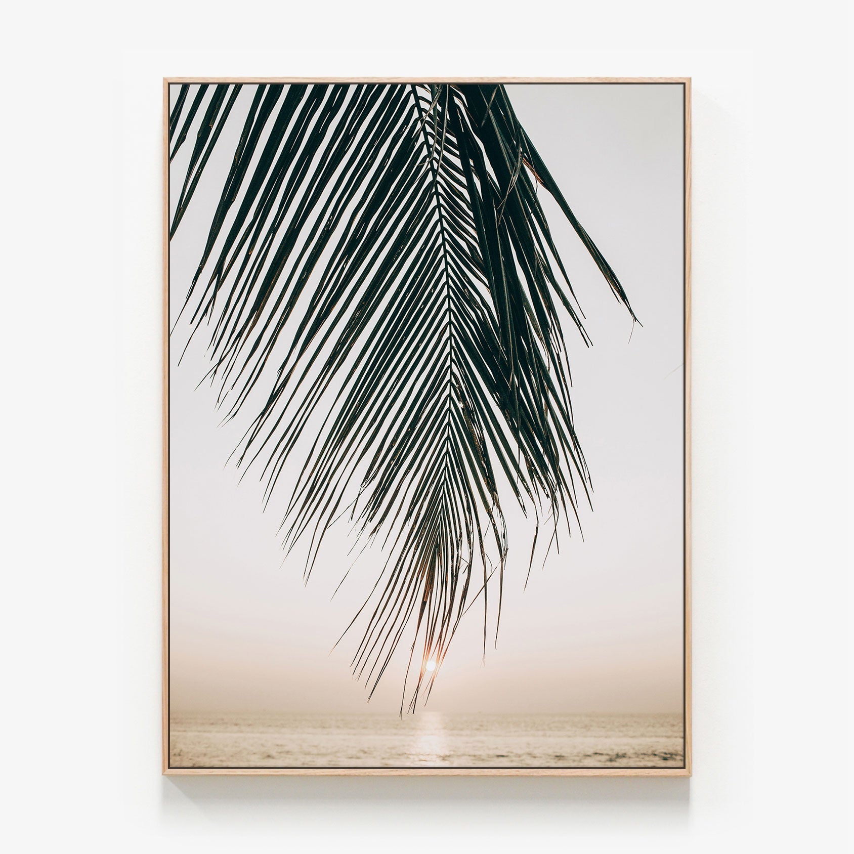 Sunset Palm Canvas wall art with oak float frame