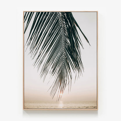 Sunset Palm Canvas wall art with oak float frame