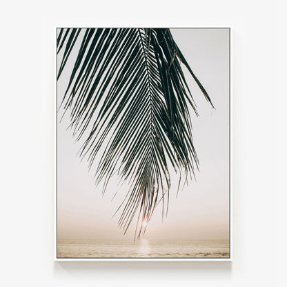 Sunset Palm Canvas