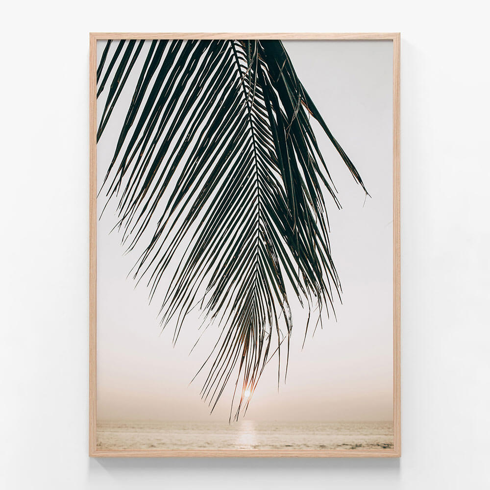 Sunset Palm