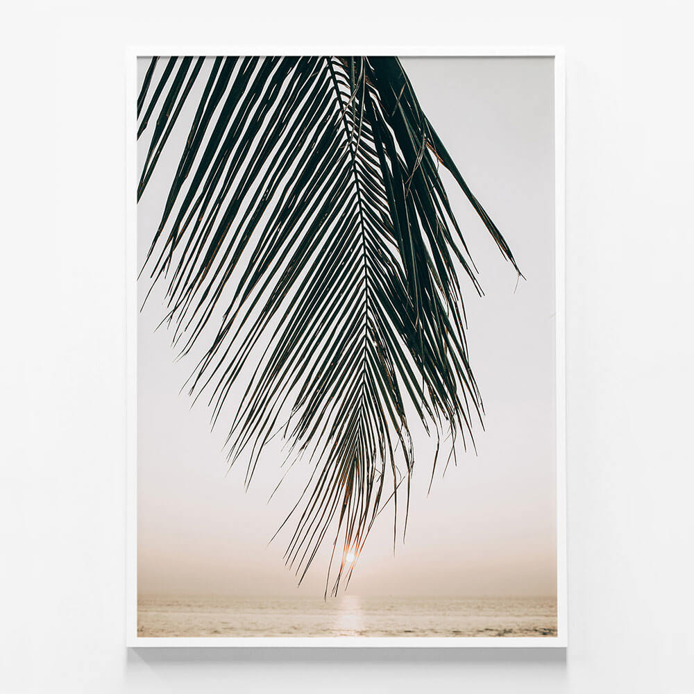 Sunset Palm