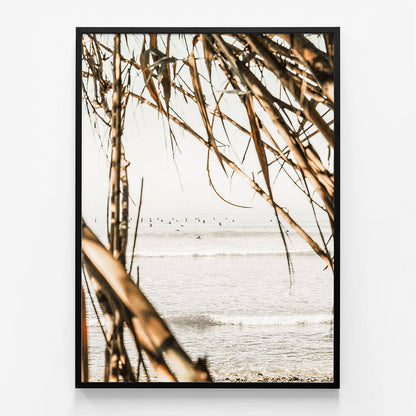 Surf View