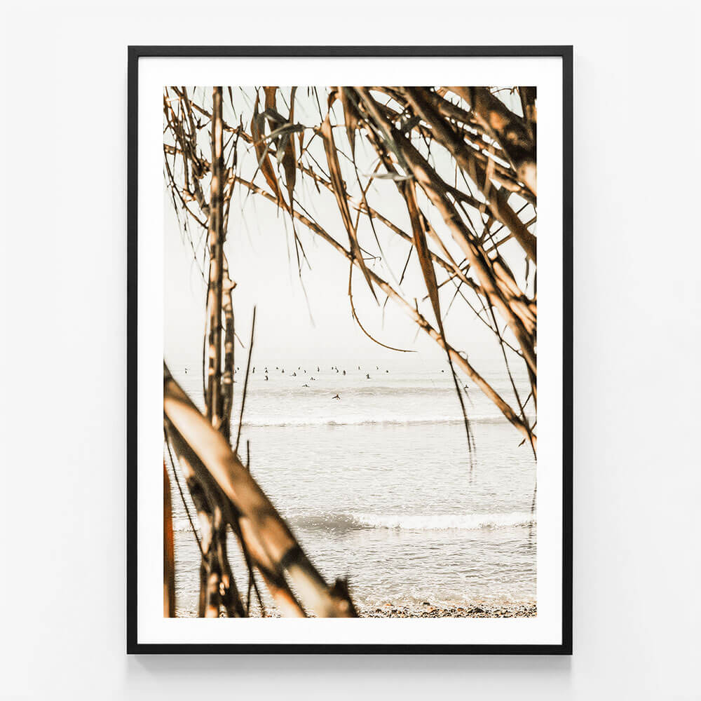 Surf View