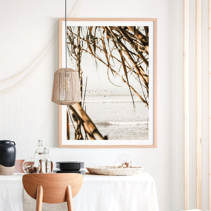 Surf View