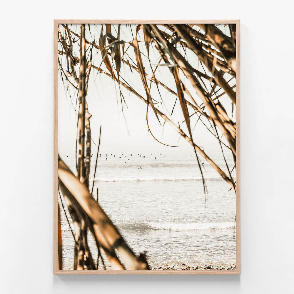 Surf View