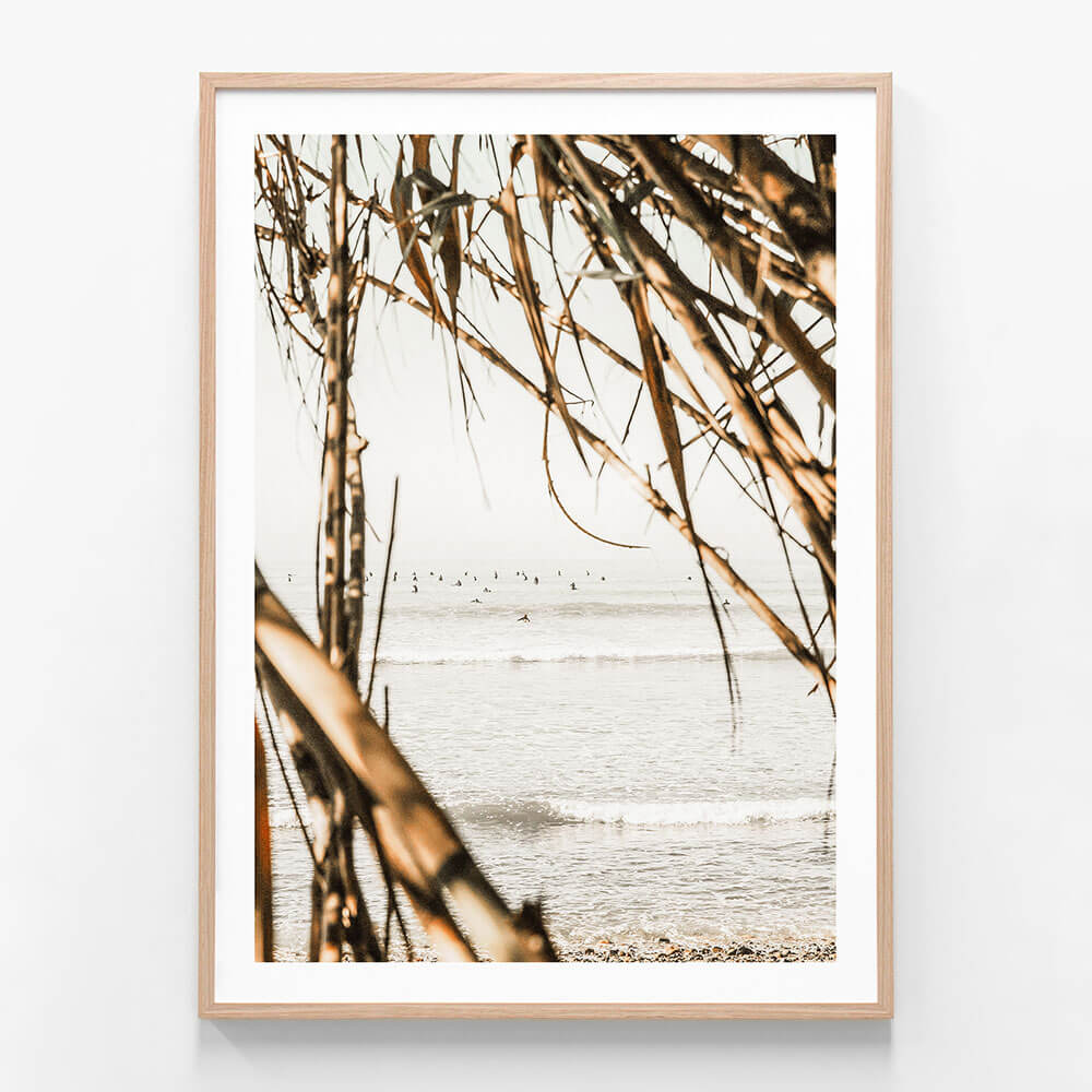 Surf View
