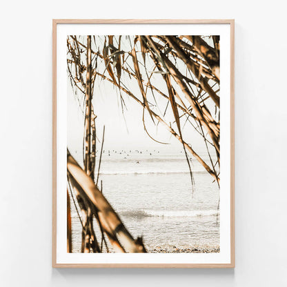 Surf View