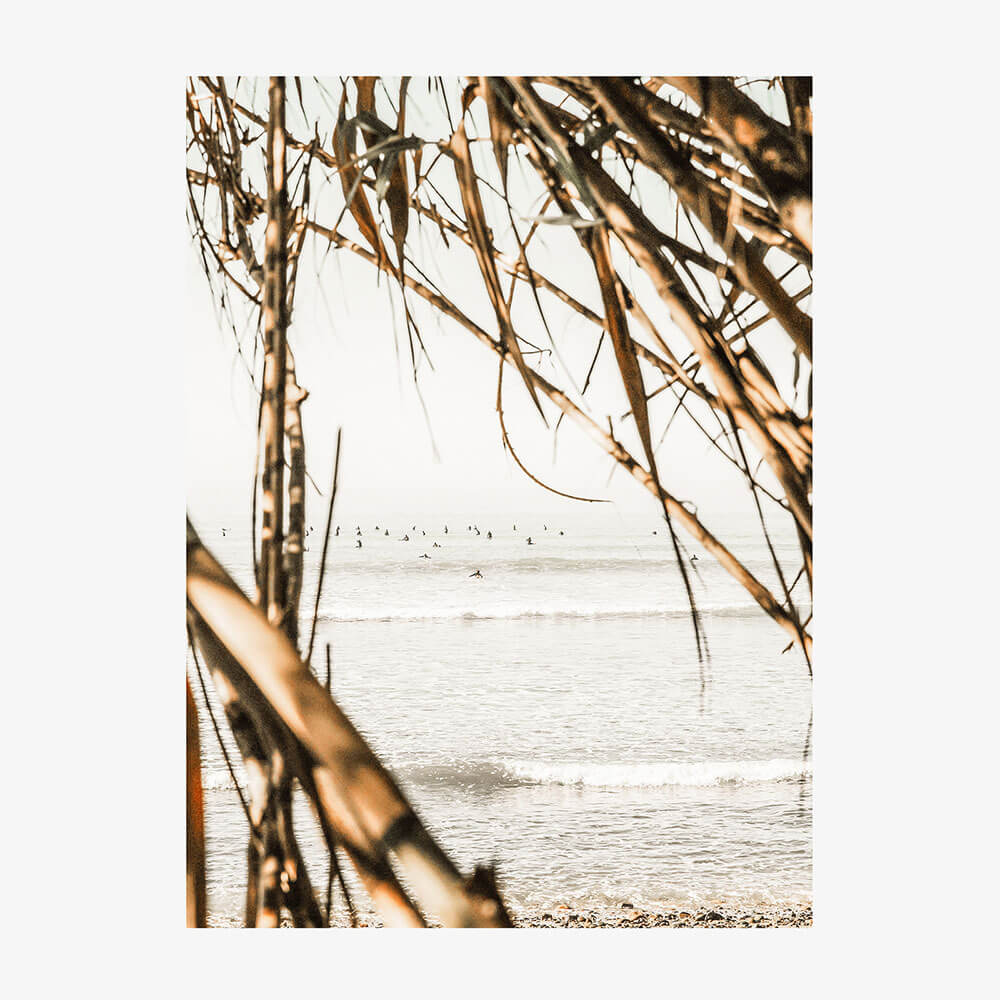 Surf View