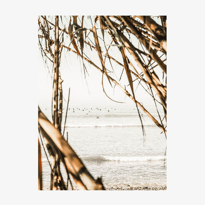 Surf View