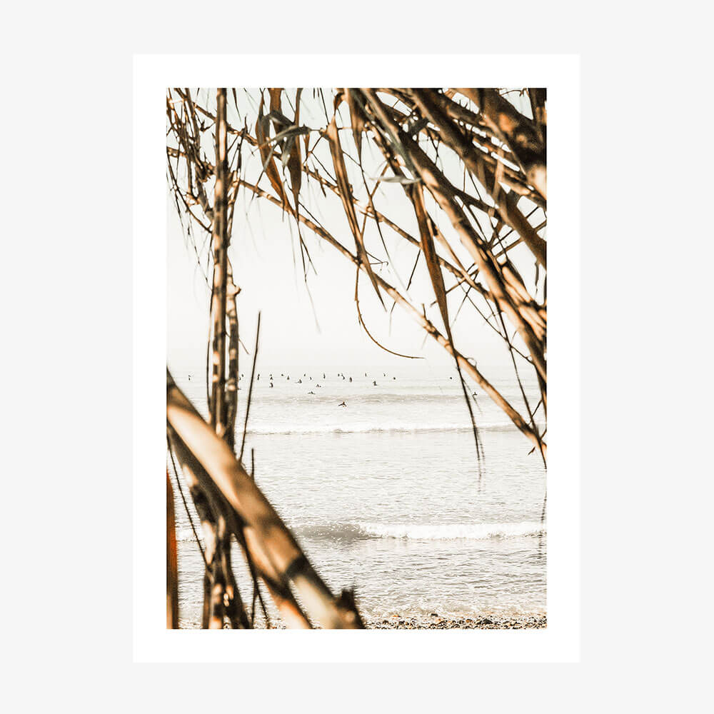 Surf View