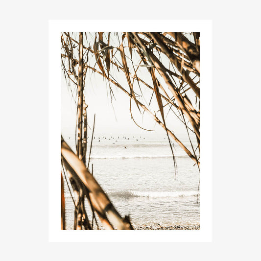 Surf View