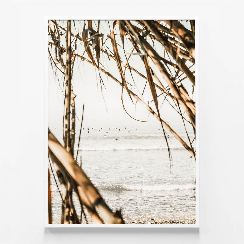 Surf View