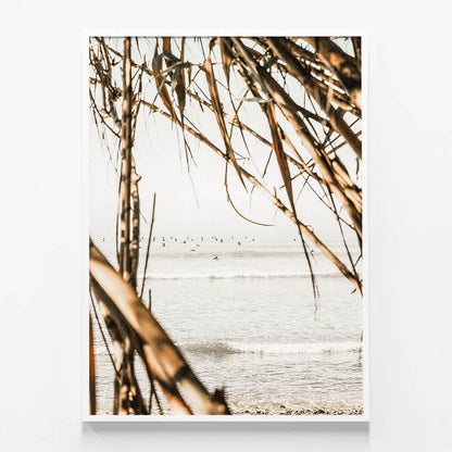 Surf View