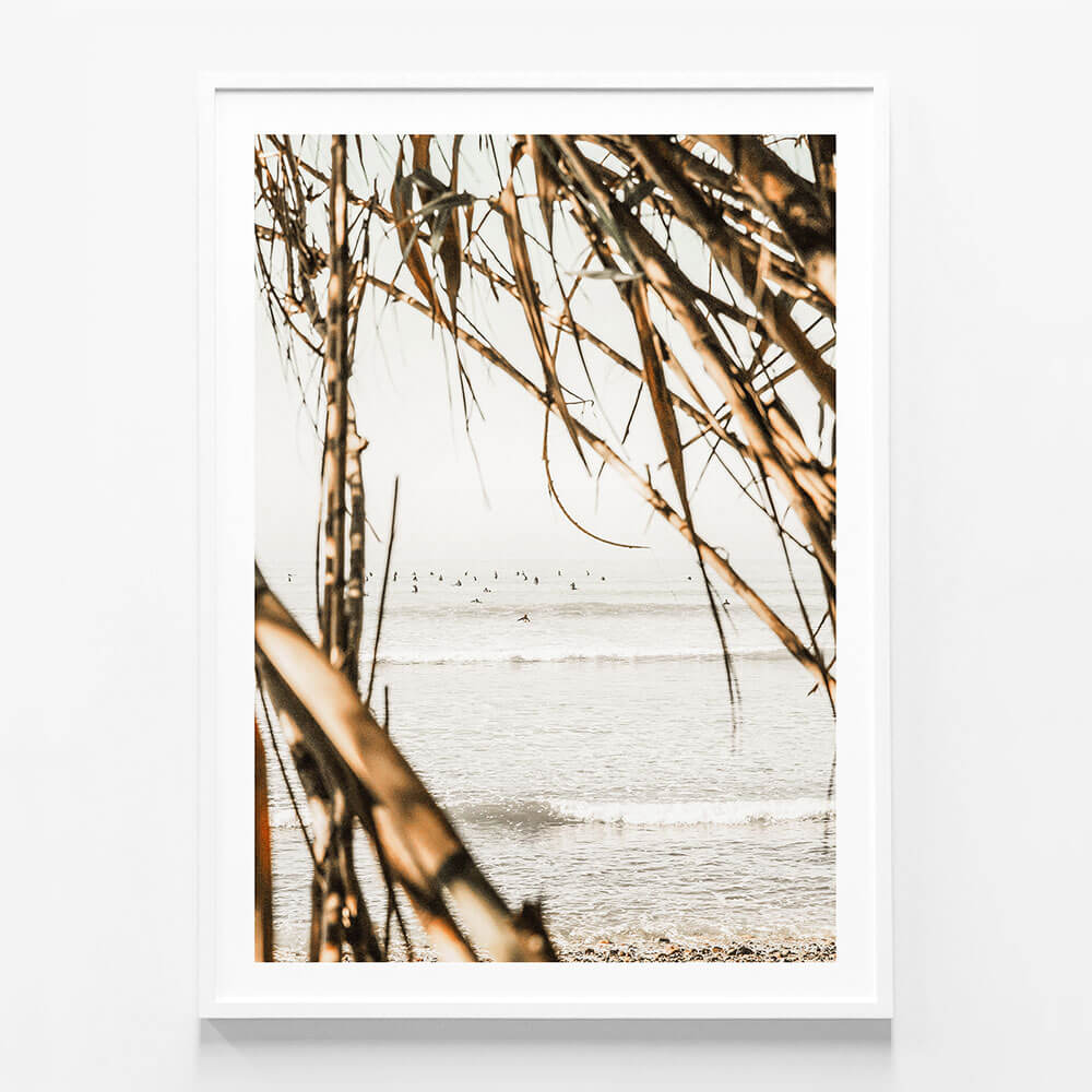 Surf View