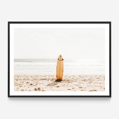 Surfing Life