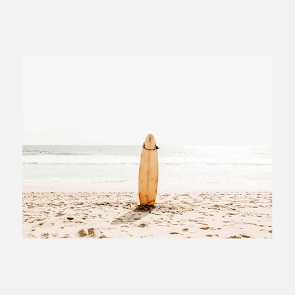 Surfing Life