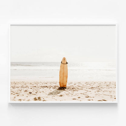 Surfing Life