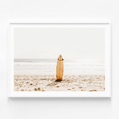 Surfing Life