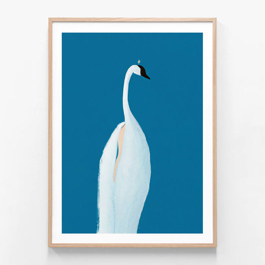 Swan Maybe
